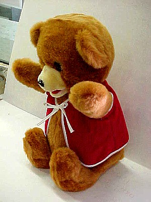 Tell-Tale Teddy a.JPG (43199 bytes)